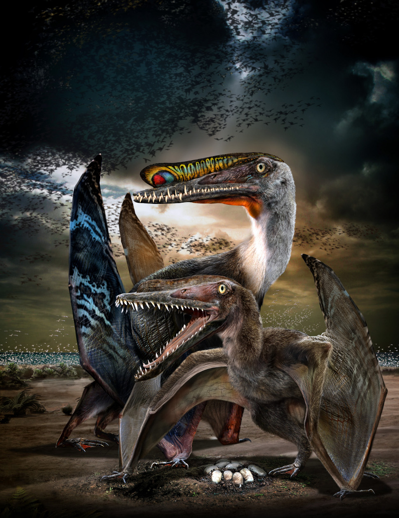 Illustration for article titled Massive Fossilized Pterosaur Colony 'Most Important Ever Found'